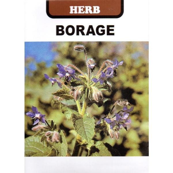 ボリジ 花の人気商品 通販 価格比較 価格 Com