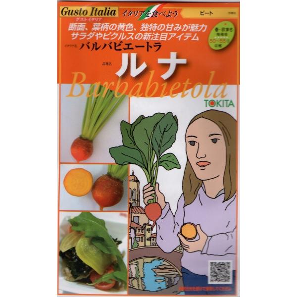 小袋80粒入り。砂糖大根とも呼ばれる甘みの強い根菜。見た目も面白いのでスライスしてサラダの彩りにお薦め。茹でてからレモンとオリーブ油で和えたり、バター炒めで食べられる。※郵便でのお届けになります。※タネの郵便（第４種便）は運賃が税込￥73〜...