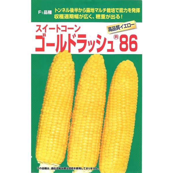 200粒入り。播種後86日程度で収穫できる中早生黄色品種です。甘みが強く、粒皮もやわらかで食味が良い。※郵便でのお届けです。※タネの郵便（第４種便）は運賃が税込￥73〜602円の範囲内です。※１kgを超えるもの、大きくて郵便で送れないものは...