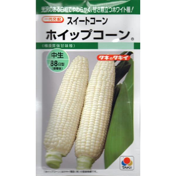 小袋 40粒入り。しっかりとした甘みです。播種後約88日で収穫ができます。イエロー種やバイカラー種と交配すると黄粒が混じるので注意が必要です。※郵便でのお届けです。※タネの郵便（第４種便）は運賃が税込￥73〜602円の範囲内です。※１kgを...