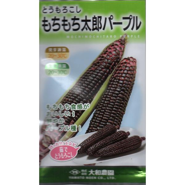 20ml入り。パープルの実が印象的！直売所出荷にも向くもちきび！播種後８0〜85日で収穫できます。※郵便でのお届けです。※タネの郵便（第４種便）は運賃が税込￥73〜602円の範囲内です。※１kgを超えるもの、大きくて郵便で送れないものはゆう...