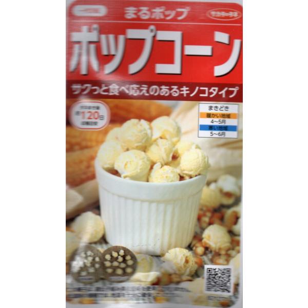 小袋 20ml入り。従来のポップコーンとは異なるキノコタイプです。均一に味付けがしやすいです。生育旺盛で収量が多いです。※郵便でのお届けです。※タネの郵便（第４種便）は運賃が税込￥73〜602円の範囲内です。※１kgを超えるもの、大きくて郵...