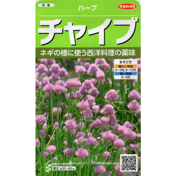 小袋 0.9ml入り。草丈　約30〜40cmこの袋で育つ苗の本数　およそ140本。ネギのように使う西洋料理の薬味です。花は観賞用にできます。※郵便でのお届けです。※タネの郵便（第４種便）は運賃が税込￥73〜602円の範囲内です。※１kgを超...