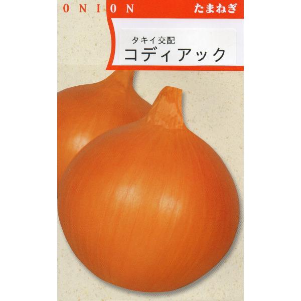 小袋　20ml（コート種子約300粒）入り。播きやすいコート加工種子です。肥大性が優れ、多収で貯蔵性も良い品種です！◎こちらの商品は寒地【北海道・東北北部（秋田県・岩手県以北）】向きの品種となります。  タマネギは地域によってタネの播き時期...