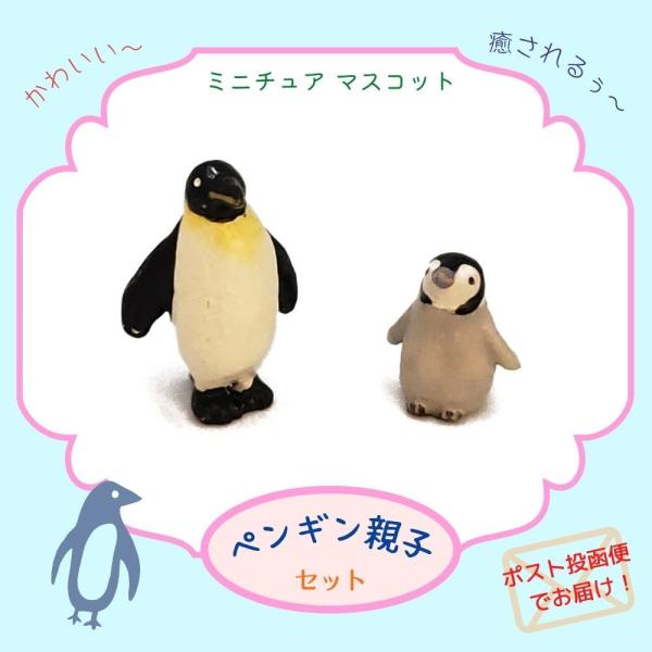 tangerine-shop_msc-07