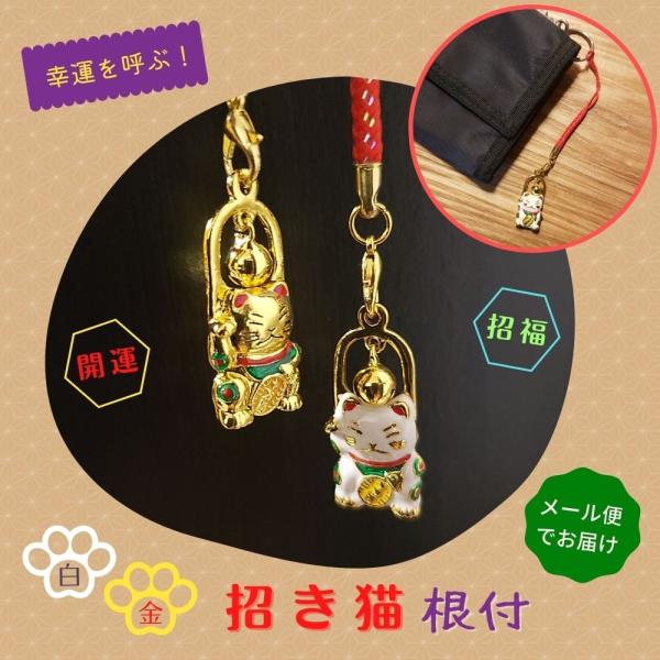 tangerine-shop_waf-84