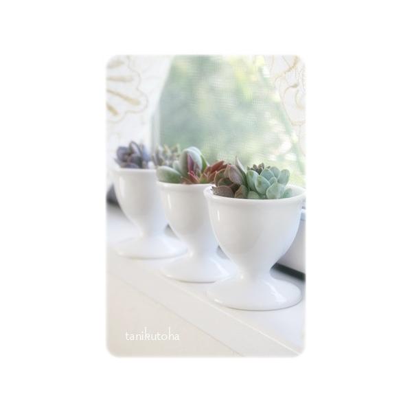 A AWg GbOX^h tc5×3Zbg  ō 񂹐AZbg AWc A LO ̓ i