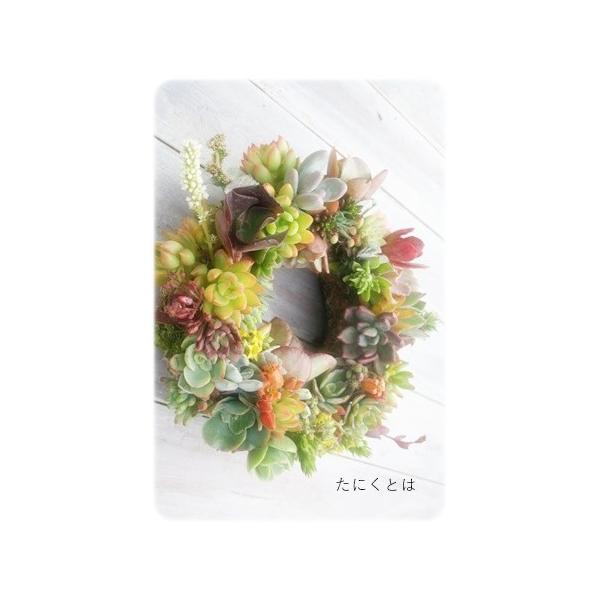 A [X AWg 15 JbgcA\[g35  胊[X ō 񂹐A AWc A NX}X[X i