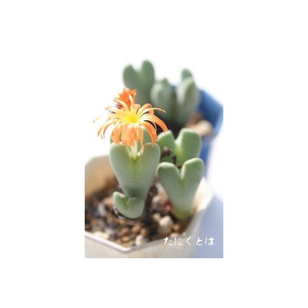  2 ^^r^B炫AWԉ 2|bg RmtBc Z tc AtJY iA