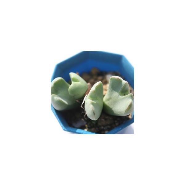 ǉ 1 ^^r^B 2|bg RmtBc Z tc AtJY iA