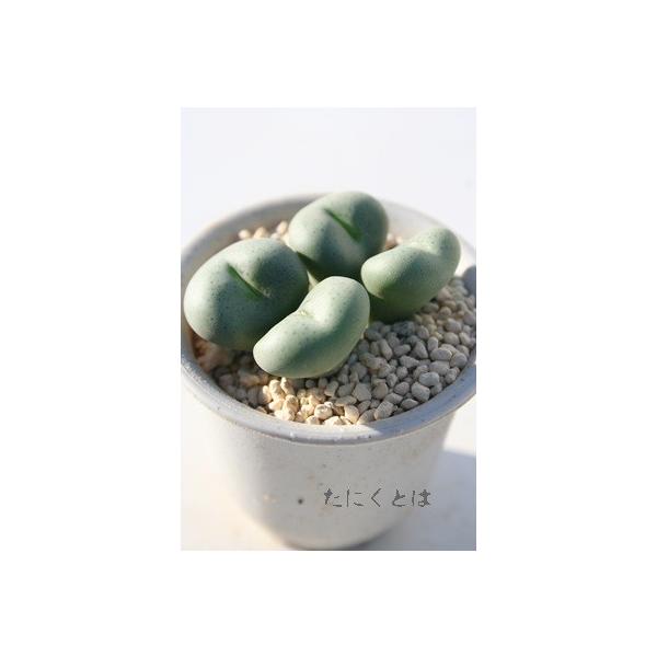  2 ^R}^ B炫A 2|bg RmtBc Z tc AtJY iA