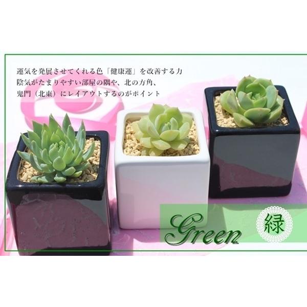 A3ΐFZbg    ` L[u A  蕨  ΐF ̓ j oYj Vzj aj JXj j