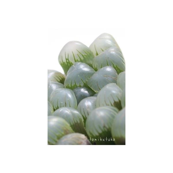 hh\Iuc[TOB-1  2|bg nI`A XXLm A c hV̓ Vzj aj JXj j