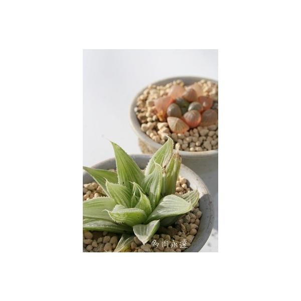 j 2|bg nI`A XXLm A ^ c  j aj ⍥ җj c