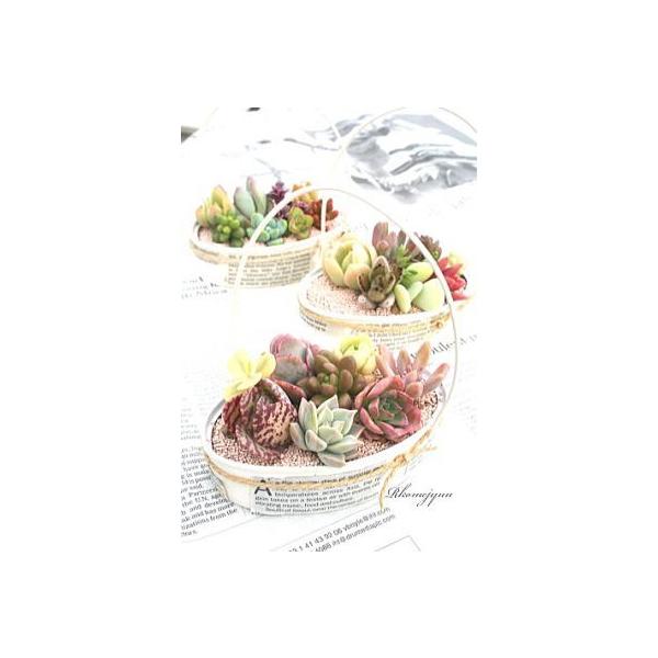 WNIWinhȑȂ蕨 Vzj aj JXj j