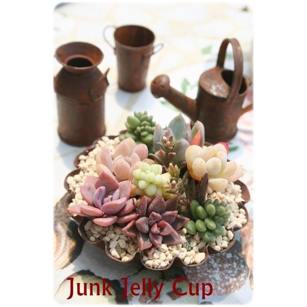 WN[[JbvȑȂ蕨 Vzj aj JXj j