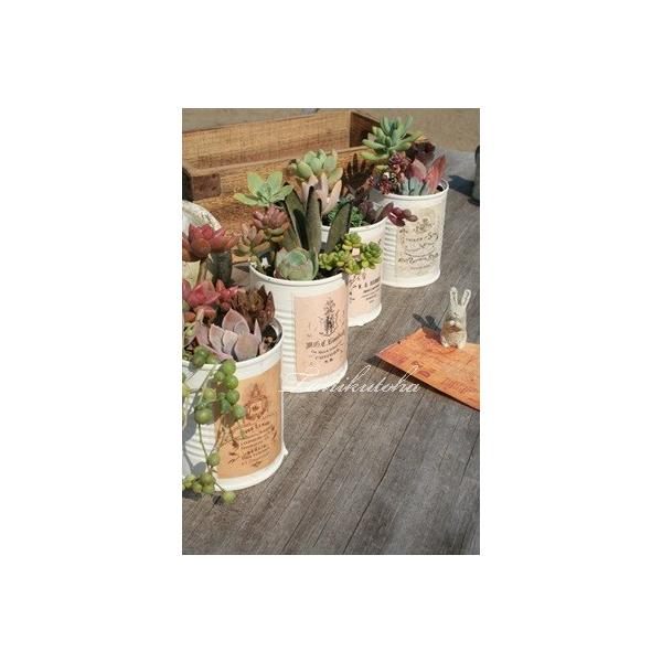 WNIWi  ȑȂ蕨 Vzj aj JXj j