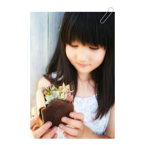 nEXou[̃MtgȂ蕨 Vzj aj JXj j