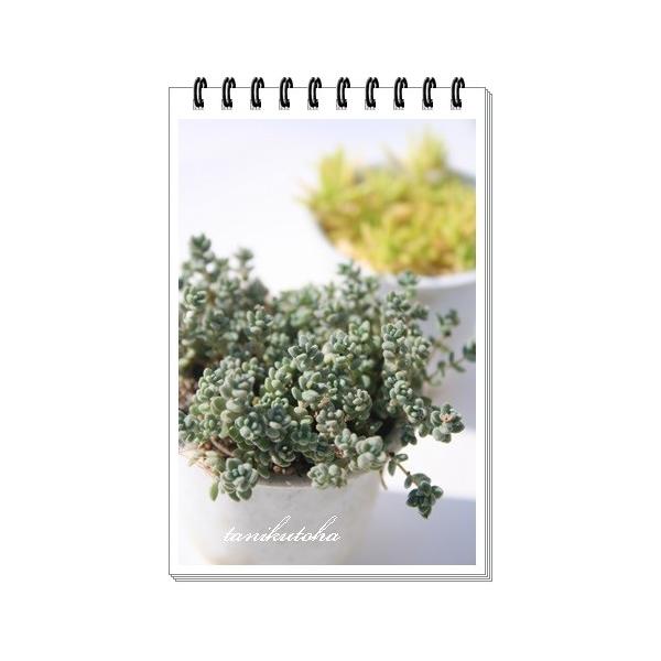 urtHE 2|bg Q^Cv@Z_ ٌc A tc  Z_c A