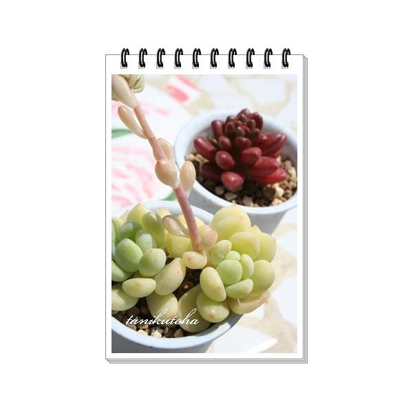 ~beB[ 2|bg Z_ ٌc A tc  Z_c A