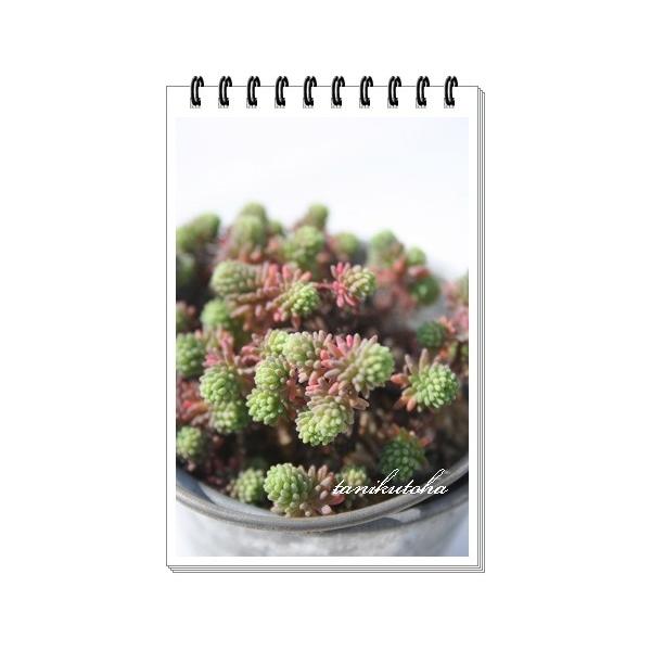 fBtT 2|bg Q^Cv@Z_ ٌc A tc  Z_c A