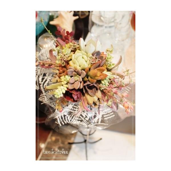 ■多肉植物のウエディングブーケ【　商品詳細　】■サイズ　ブーケ全体外径　：　Φ15cm〜20cm X 高さ30cm〜35cmブーケ土台外径　：　Φ8cm X 高さ22cm  ■多肉植物多肉植物カット苗アソート多肉植物カラーバリエーションドレ...