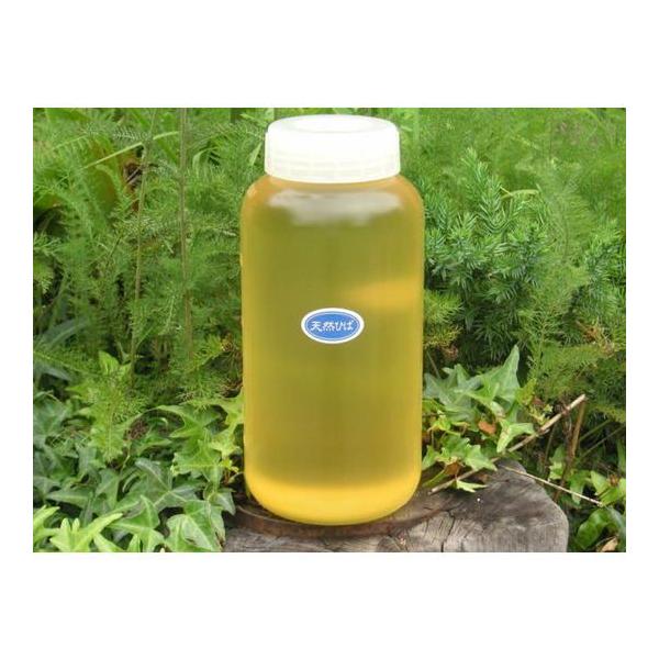 VRXЂΖ100yXЂΖ Ɩp 1,000mLzp{gEqmL`I[