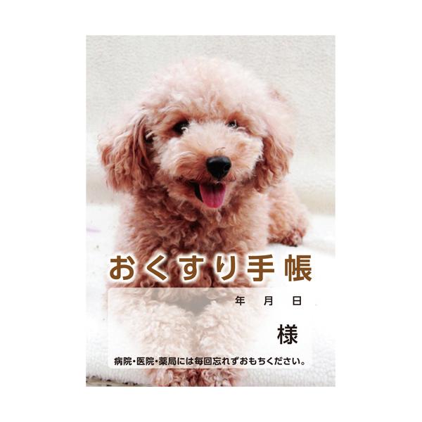 _CI[~E@蒠i^j@PUy[W@ʁ@PpbNiPOOj i񂹕ij