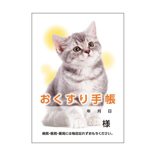 メーカー：ダイオーミウラ   品番：59352   服用薬の情報を1冊にまとめて管理。