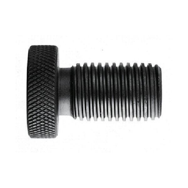 �X�[�p�[�c�[���@�N���[�N�����v�����l�W�@�e�k�q�Q�O�@�P�{�i�����j