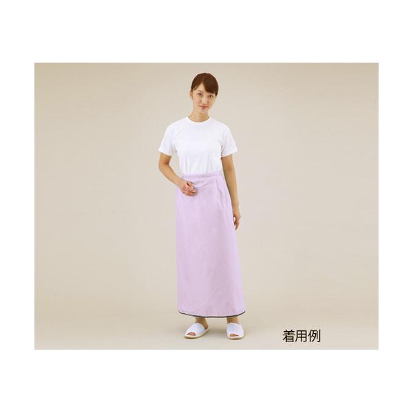�A�Y�����@�����Ɠ�����G�v�����@�s���N�@�r�`�s�s�n�|�o�j�@�P���@�i����񂹕i�j ���i�摜