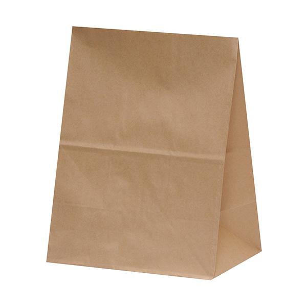 他サイト： パックタケヤマ　角底袋　未晒　無地　Ｈ５００　ＸＺＴＴ０３９６　１パック（１００枚） （お取寄せ品）の商品画像