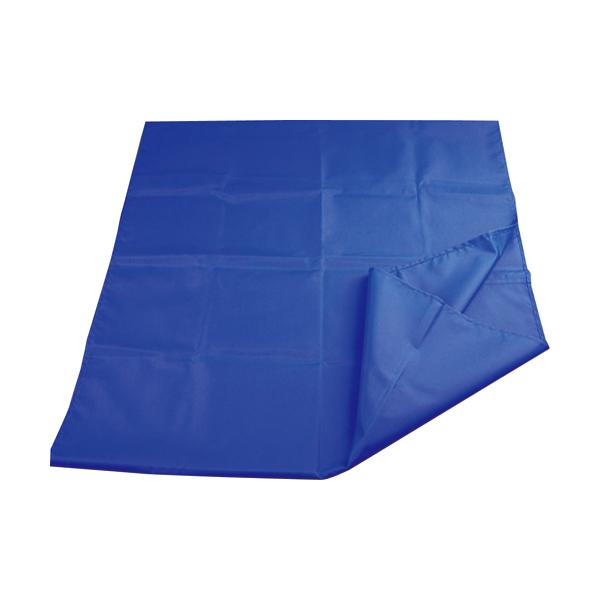 メーカー：ウェルファン 　品番：000-35-001   体の下に敷き込み、ラクに移乗・体位変換できるロール状のスライディングシート。　　ベッド上での縦や横への移動時に、荷重がかかる頭や背中、お尻の下に、移動したい方向とロール状の向きをあわ...