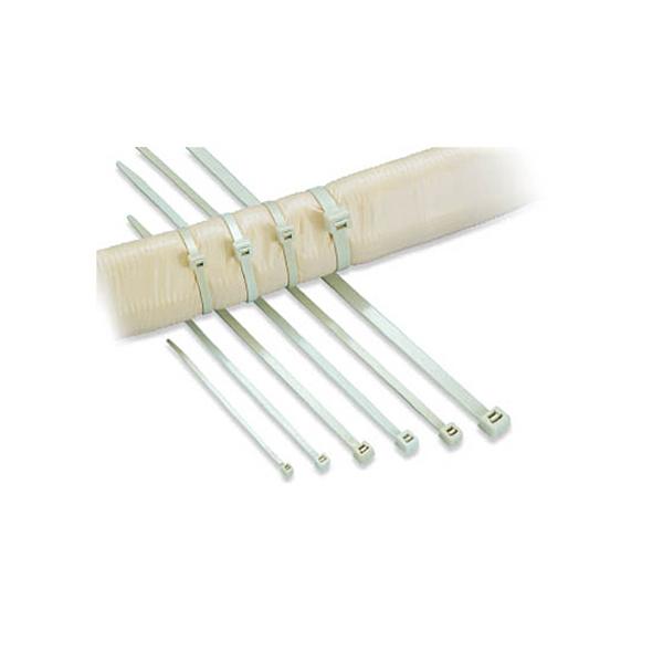 �w���}���^�C�g���@�`�a�^�C�@���R�D�T×�����P�T�Q�����@���O�p�@�`�a�P�T�O�|�h�u�x�@�P�p�b�N�i�P�O�O�{�j�i�����j