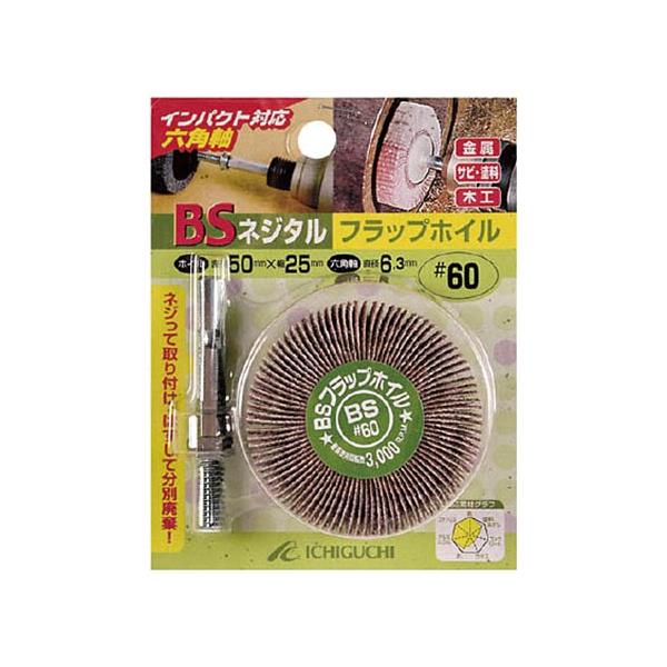 イチグチ イチグチ BS ネジタルフラップホイル（六角軸） 30