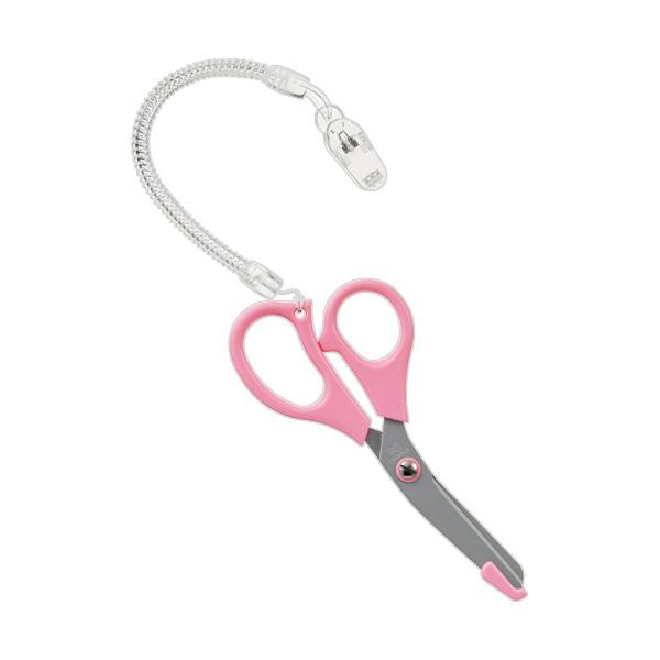 eBeBfBJ@i[CX͂݁@p@sN@P{ iij