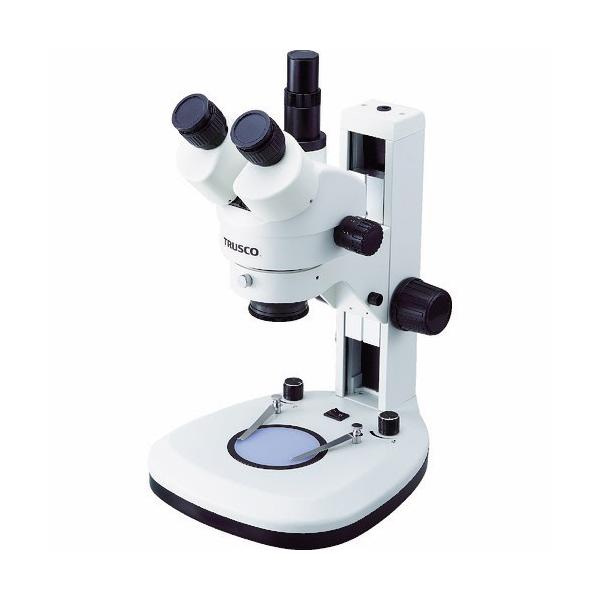 sqtrbn@Y[̌@OY[ikdcƖjrbnoqniXR[vj@ylr|sP@P@ij