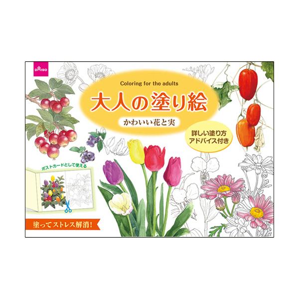 ダイソー 大人のぬりえ ５ 大人の塗り絵 かわいい花と実 １セット １０冊 ぱーそなるたのめーる 通販 Paypayモール