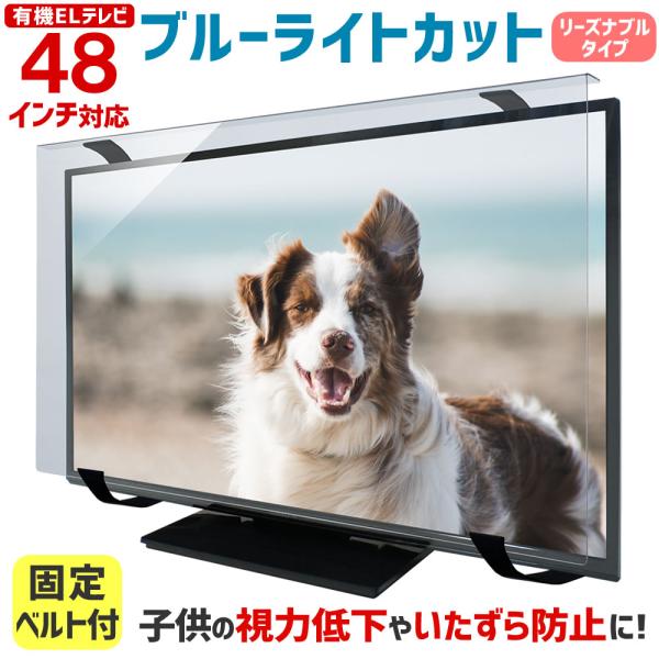 ブルーライトカット 有機ELテレビ 保護パネル 48型 48インチ ベルト付 カット率47.9％ 有機ELテレビ 保護 パネル 3mm厚 WLP-48-EL