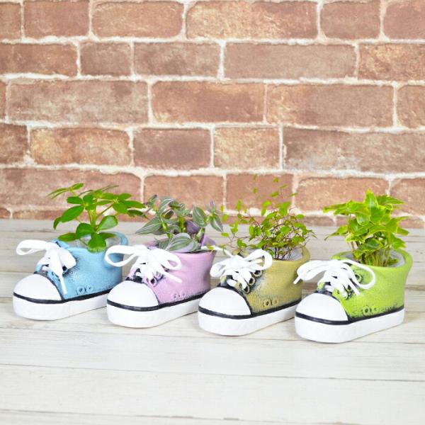 サイズ   W12×7.5×H6.5cm（植物含めたH約10~13cm前後）材　質：器）陶器植込み材：レカトンシューズ型の鉢にセットしたハイドロカルチャーの植物セットです。植物は、当社指定の４品種より、お好きなものをお選びいただけます。イオ...