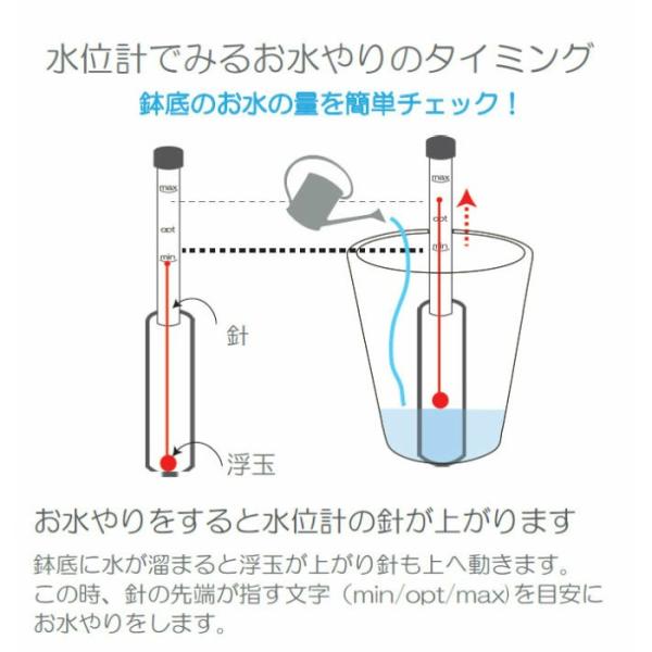 水位計m 観葉植物 ハイドロカルチャー用 Buyee Buyee Japanese Proxy Service Buy From Japan Bot Online