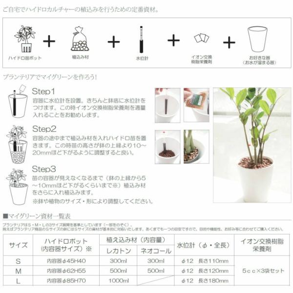 Planterior ネオコール 小粒 500ml 観葉植物 ハイドロカルチャー Mサイズ 向き Buyee Buyee 提供一站式最全面最專業現地yahoo Japan拍賣代bid代拍代購服務 Bot Online