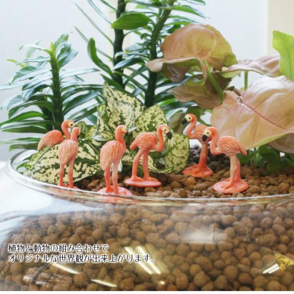 ミニ フラミンゴ ハイドロカルチャー 観葉植物にピッタリ 動物フィギュア Buyee Buyee Japanese Proxy Service Buy From Japan Bot Online