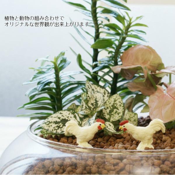 ミニ オンドリ ハイドロカルチャー 観葉植物にピッタリ 動物フィギュア Buyee Buyee Japanese Proxy Service Buy From Japan Bot Online