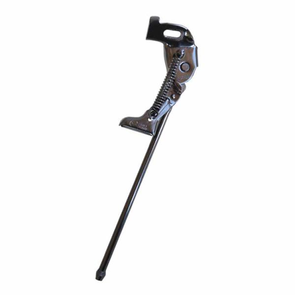 tanpopo_01012000-new_1_d_20250326101658