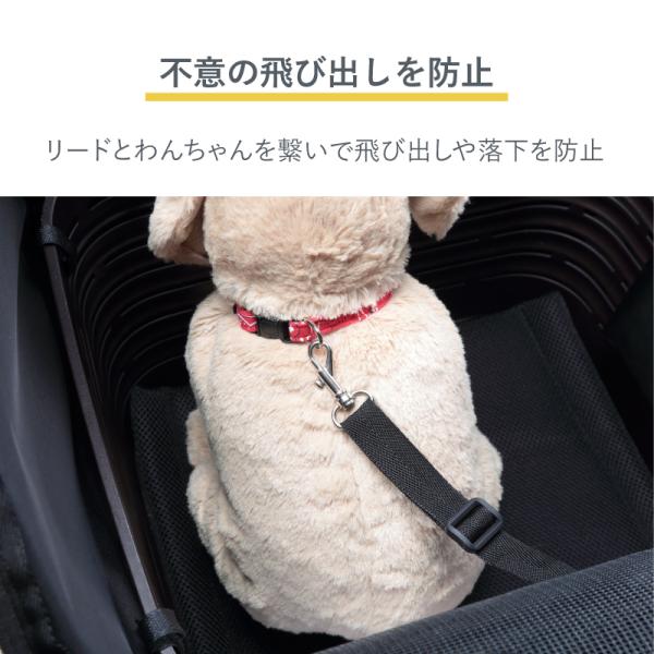 tanpopo_01069183_4_d_20240620120406