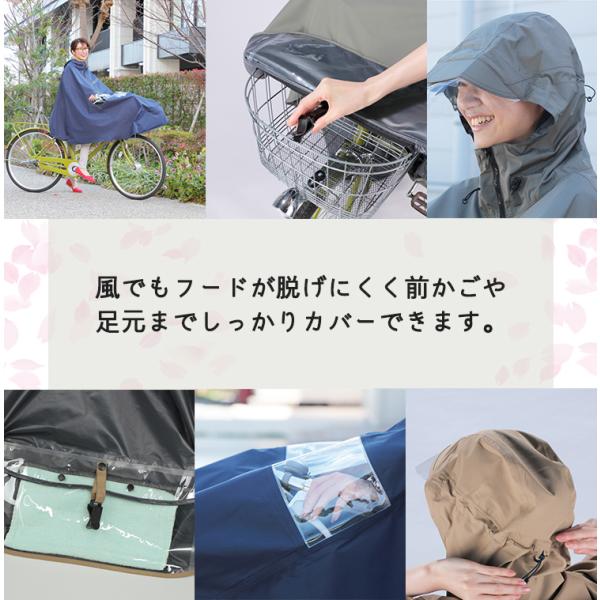 tanpopo_01069420_1_d_20250226165823