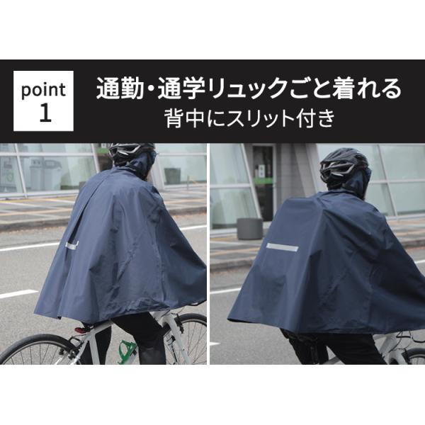 tanpopo_01069429_2_d_20250822171106