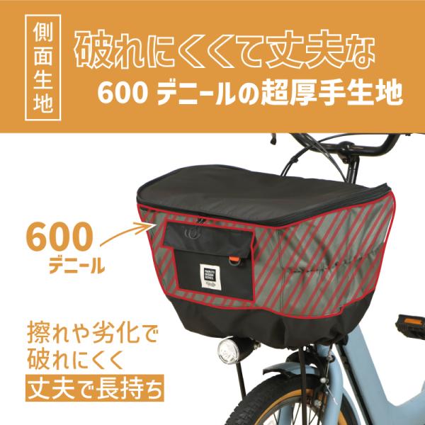 tanpopo_01069479_2_d_20240909141939