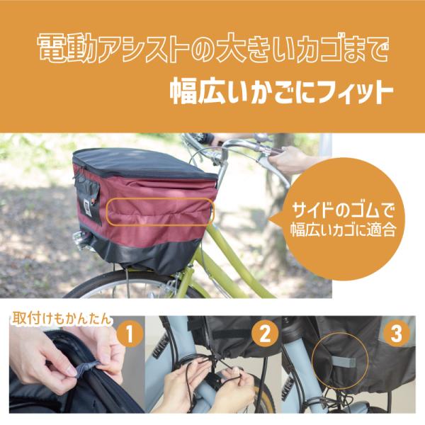 tanpopo_01069479_4_d_20240909141940